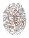 Fingerprint Features