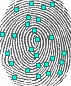 FAP 30 FAP 20 and FAP 10 Fingerprint Sizes
